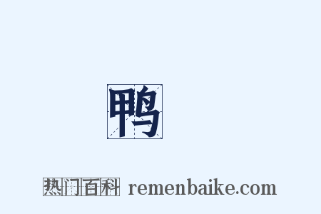 鸭緑是什么意思的图片